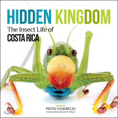 Hidden Kingdom: The Insect Life of Costa Rica (The Insect Life of Costa Rica)
