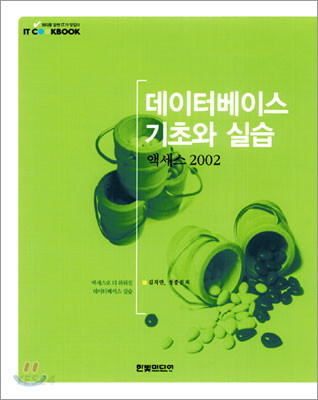 데이터베이스 기초와 실습 : 액세스 2002 / 김지연  ; 정종진 공저