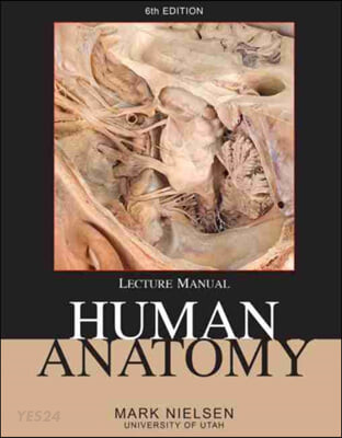 Human Anatomy