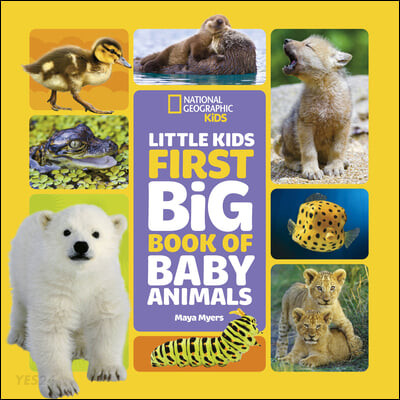 Little Kids First Big Book of Baby Animals (The thriller that will capture your heart and blow your mind)