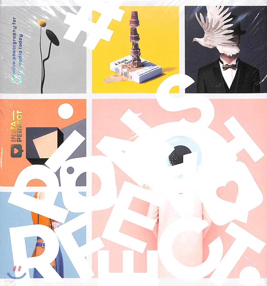 Insta-Perfect : creative photography for social media today