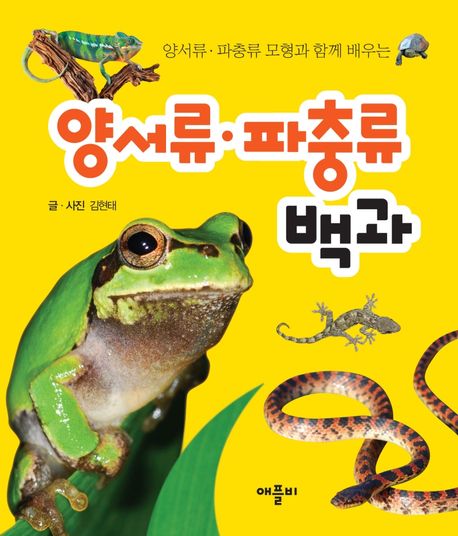 양서류·파충류 백과 (양서류.파충류 모형과 함께 배우는)