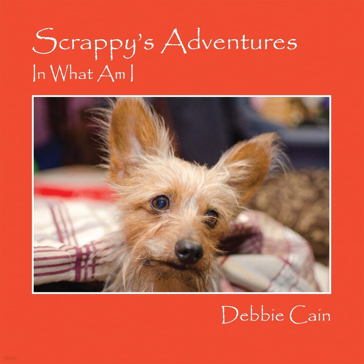 Scrappy’s Adventures (In What Am I)