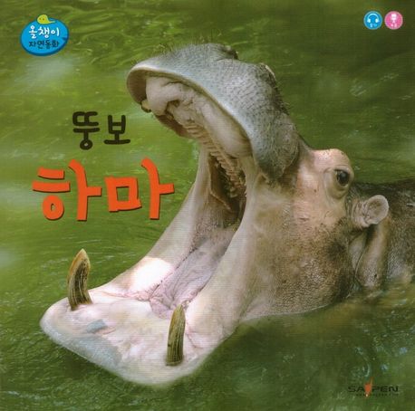 뚱보 하마