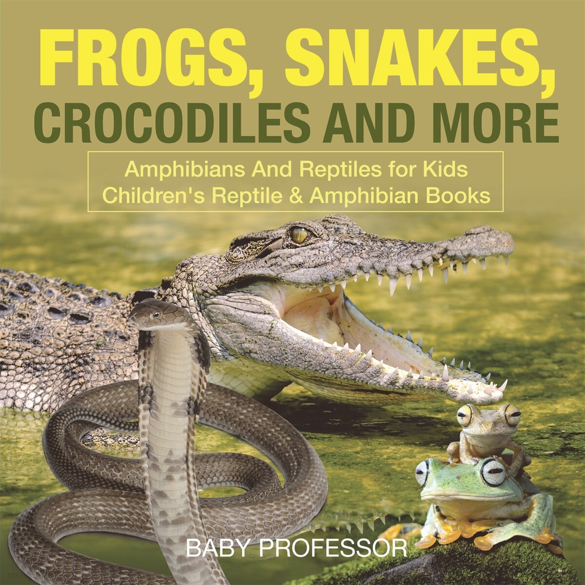 Frogs, Snakes, Crocodiles and More - Amphibians And Reptiles for Kids - Children’s Reptile & Amphibian Books