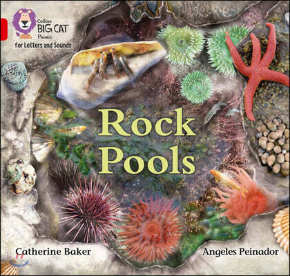 9780008357702