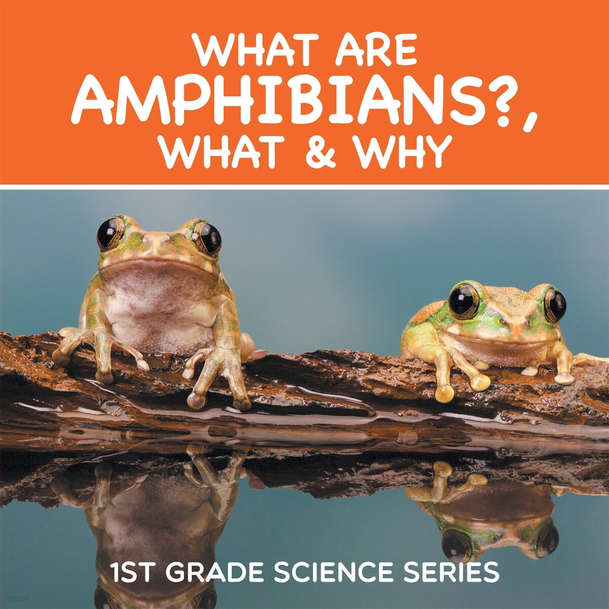 What Are Amphibians?, What & Why (1st Grade Science Series)