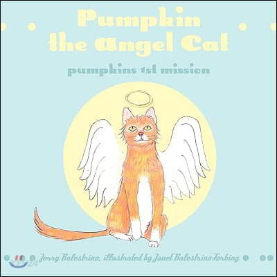 Pumpkin the Angel Cat: Pumpkins 1st Mission