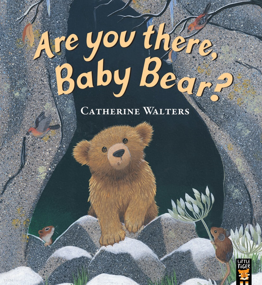 Are you there, baby bear?
