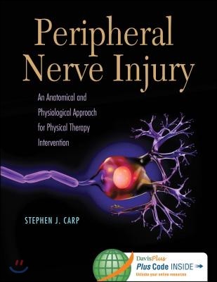 Peripheral nerve injury  : an anatomical and physiological approach for physical therapy intervention