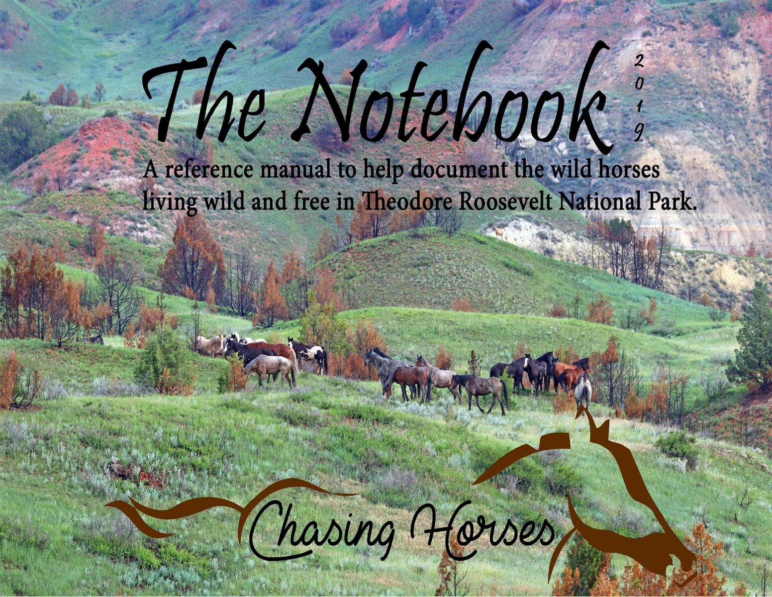 The Notebook (A reference manual to help document the wild horses living wild and free in Theodore Roosevelt National Park.)