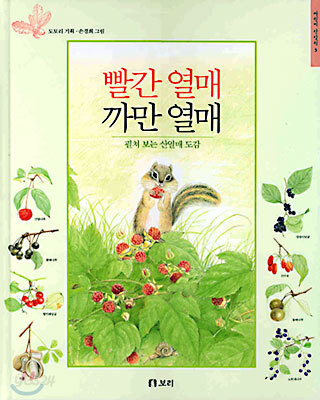 빨간 열매 까만 열매 (펼쳐보는 산열매 도감)