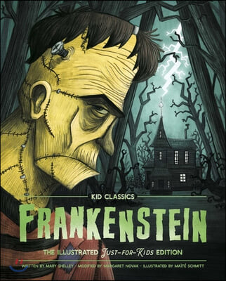 Frankenstein: the illustrated just-for-kids edition