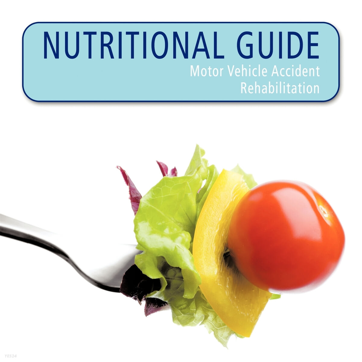 NUTRITIONAL GUIDE (Motor Vehicle Accident Rehabilitation)