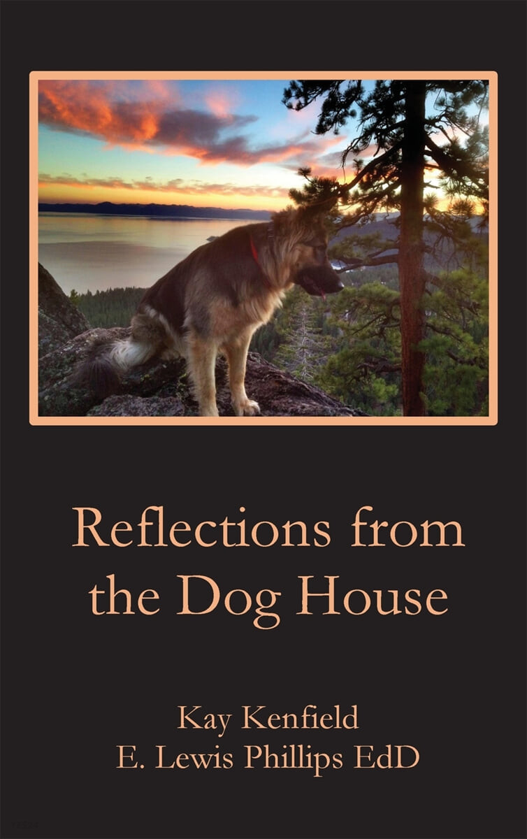 Reflections from the Dog House