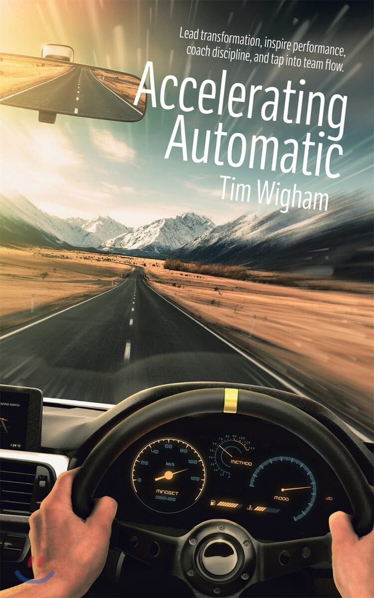 Accelerating Automatic (Lead Transformation, Inspire Performance, Coach Discipline, and Tap into Team Flow)
