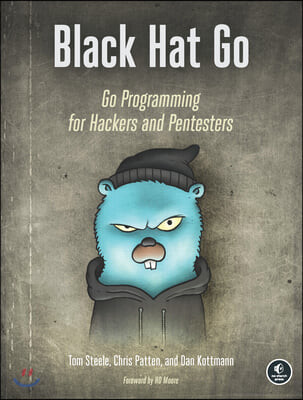 Black Hat Go: Go Programming for Hackers and Pentesters (Go Programming for Hackers and Pentesters)