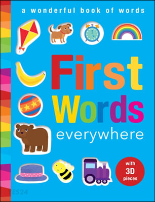 The First Words Everywhere (A Wonderful Book of Words)