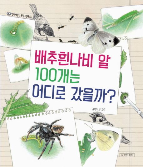 배추흰나비 알 100개는 어디로 갔을까?