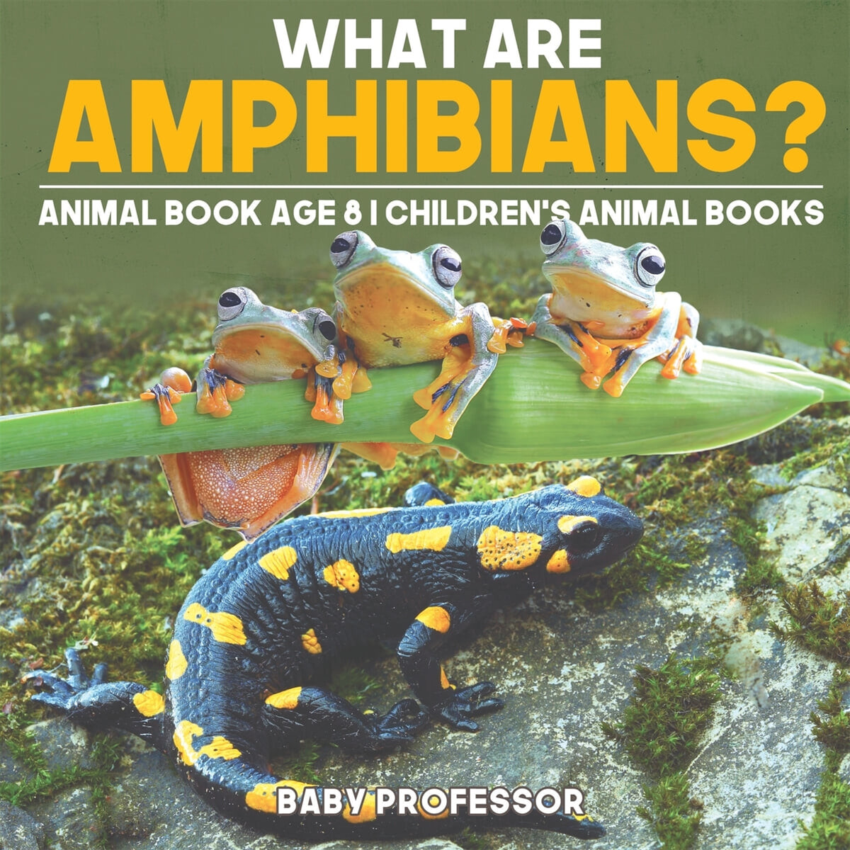 What are Amphibians? Animal Book Age 8 - Children’s Animal Books