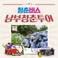 제주도버스투어 "꽃"청춘 1일 패키지여행 청춘가이드동행 택시 효도관광 우도전기차