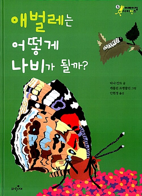 애벌레는 어떻게 나비가 될까?