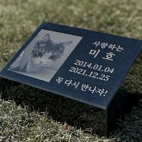 그레이스톤 강아지 고양이 수목장 비석 200mm