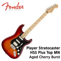 펜더 프리버드 Fender Mexico Player Stratocaster HSS Pl