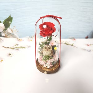 천일화 부엉이한송이장미 무드등 프리저브드 , 기쁨플라워😊