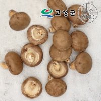 공룡나라 고성 웅이표고 생표고버섯(생표고/파지1kg)