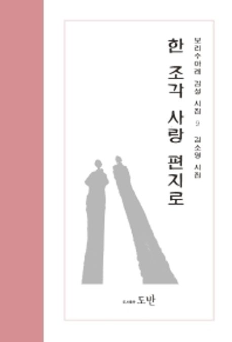 한 조각 사랑 편지로 : 김소영 시집
