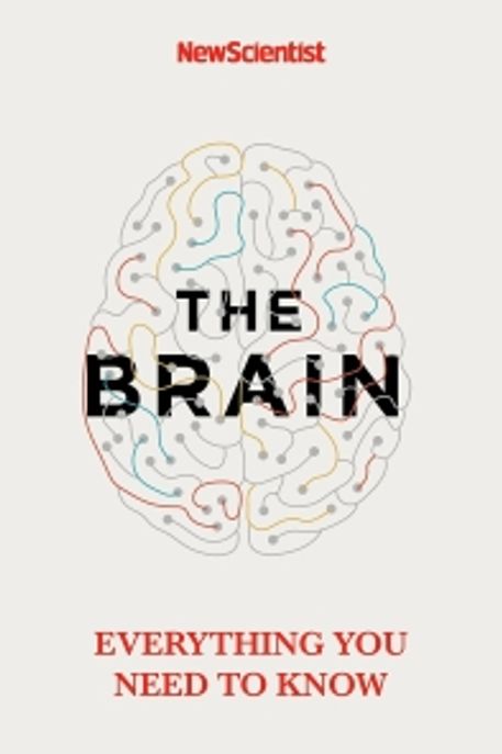 The Brain (Everything You Need to Know)