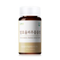 뉴네이처 발효율피추출물분말정 600mg x 120정