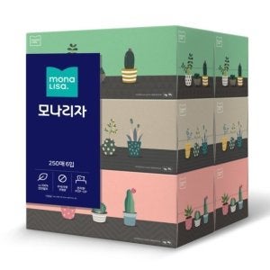 모나리자 모나리자 플라워가든 미용티슈 250매 6입-1개