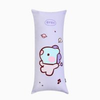 BT21 미니니 망 바디필로우