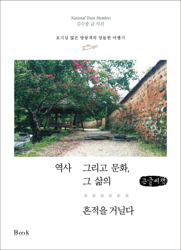 역사 그리고 문화, 그 삶의 흔적을 거닐다 : 호기심 많은 방랑객의 당돌한 여행기 : 큰글자책
