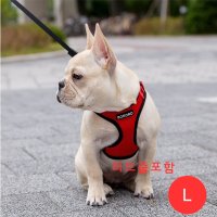 메쉬 H형 강아지 하네스 리드줄포함 L