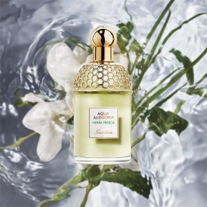 겔랑 아쿠아알레고리아 허바 프레스카 오드뚜왈렛 75ml 125ml 200ml