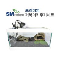 프리미엄 거북이키우기 세트