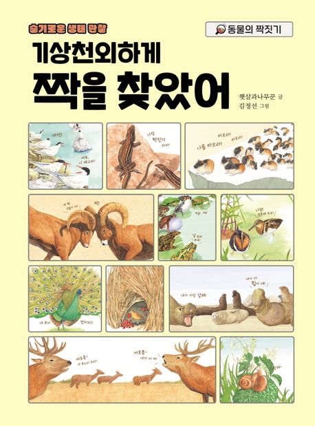 기상천외하게 짝을 찾았어 : 동물의 짝짓기 