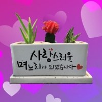 상견례 선물 캘리화분 - 장인어른, 장모님 선물