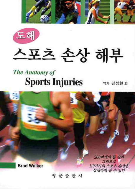 (도해) 스포츠 손상 해부
