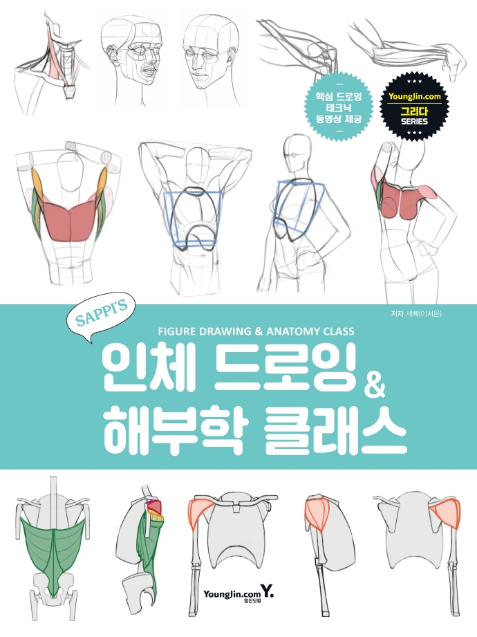 (Sappi's) 인체 드로잉 ＆ 해부학 클래스 = Figure drawing ＆ amatomy class 표지