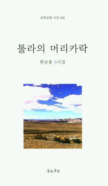 툴라의 머리카락 : 한숭홍 6시집