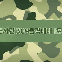 Military : 군대, 군인