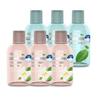 오스템 쿨가글 250ml x 3개 + 쿨제로 가글 자스민향 250ml x 3개