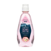 죽염 히말라야핑크솔트 가글아이스 760ml 428519