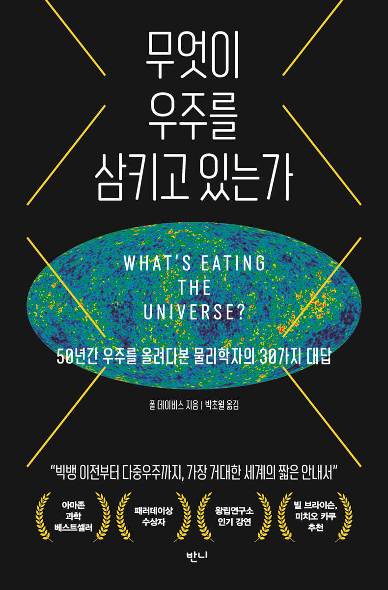 무엇이 우주를 삼키고 있는가 (50년간 우주를 올려다본 물리학자의 30가지 대답)