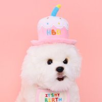 에스엠파티 강아지 생일모자 케이크 고양이 생일파티