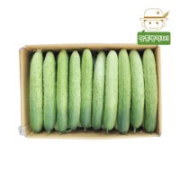 [삼촌농장] 수분 가득 백다다기 오이(특품) 2kg